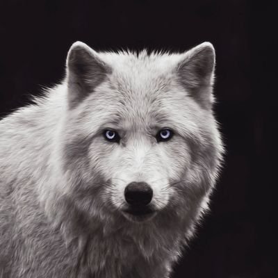Profile Picture of Hope 93 (@julian93anders) on Twitter