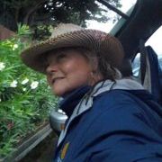 Janet Hedlund - Pinterest Profile Picture of Janet Hedlund (@pyxyi) on Pinterest