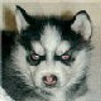 Profile Picture of Jim Hulse (@Devildog300) on Twitter
