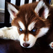 Profile Picture of Kate Corbin (@katecorbin3594) on Youtube