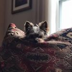 Profile Picture of Michael Reif (@reif_michael) on Instagram