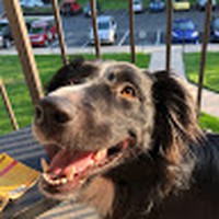 Profile Picture of Virginia Wiegner (@virginia-wiegner) on Quora