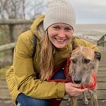 Profile Picture of Dani Harris (@danifharris) on Instagram