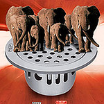 Profile Picture of Sanjay Jain (@sanjaychilly12345) on Flickr