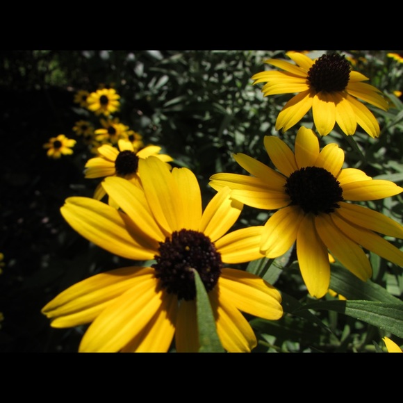 Profile Picture of Kylie Moriarity (@kylie_e_m) on Poshmark