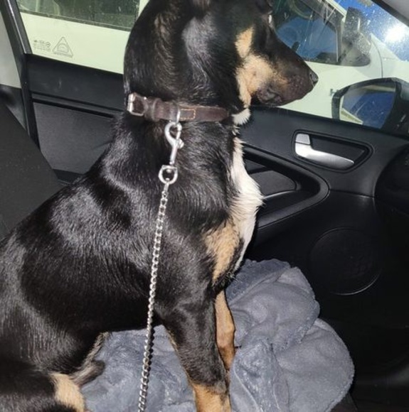 Profile Picture of Coll Doolan (@colleentucker50) on Poshmark