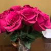 Profile Picture of olga cruz (@@olgacruz337) on Tiktok