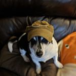 Profile Picture of Jeremy League (@leaguejeremy) on Instagram