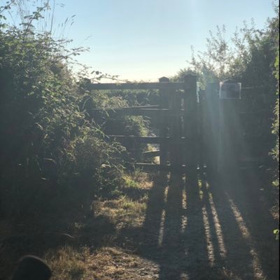 Profile Picture of Alex Graver (@graver_alex) on Twitter