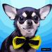 Profile Picture of Steven H Wiederhold (@steven.h.wiederhold) on Facebook