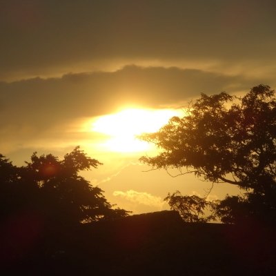 Profile Picture of Richard Kurowski (@RKScrach) on Twitter
