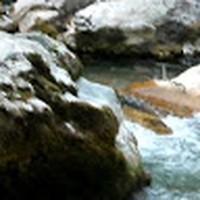 Profile Picture of Nenad Brkic (@nenad-brkic-6) on Quora