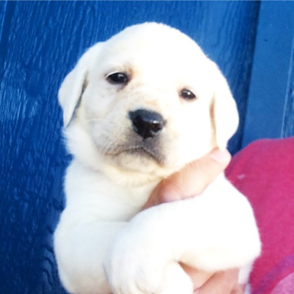 Profile Picture of Mark Coons (@mark1438) on Poshmark