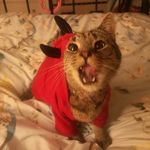 Profile Picture of Elizabeth Mazurkiewicz (@mazurkiewiczelizabeth) on Instagram