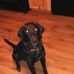 Profile Picture of Joe Wehner Jr. (@Joe-Wehner-Jr) on Facebook