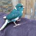 Profile Picture of Lorie Popp (@lorie.popp.5) on Facebook