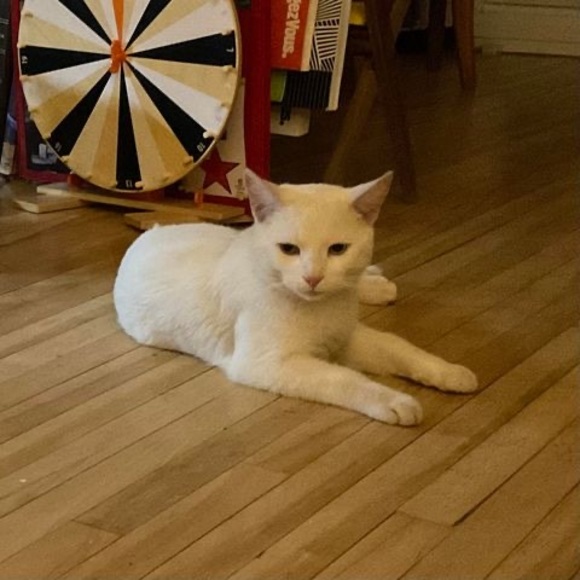 Profile Picture of Catherine Valade (@c_valade) on Poshmark