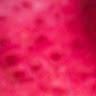 Profile Picture of Alice Coburn (@@alicecoburn) on Tiktok