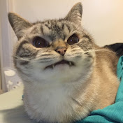 Profile Picture of Nora Wolf (@norawolf5174) on Youtube