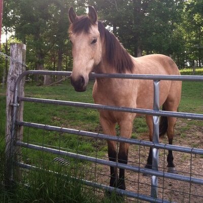 Profile Picture of Micah Price (@micahprice123) on Twitter