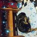 Profile Picture of Doris Dill Faught (@dorisdill.faught.37) on Facebook