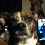Profile Picture of james spahr (@james.spahr) on Instagram