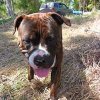 Profile Picture of Cassidy Wright (@cassidy-wright-14) on Quora