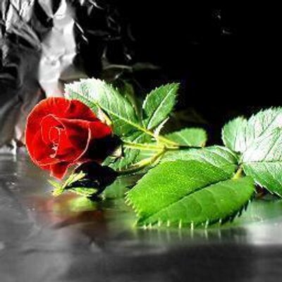 Profile Picture of Ayman Shahin (@aymanshahin6) on Twitter