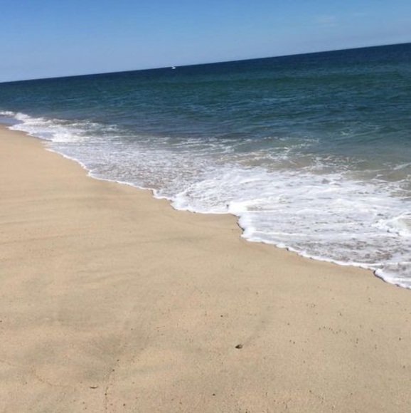 Yvette Walsh - Poshmark Profile Picture of Yvette Walsh (@yvettewalsh) on Poshmark