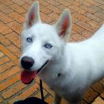 Profile Picture of Marisol Avellaneda (@marisol._avellaneda) on Instagram