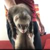 Profile Picture of deebs (@@dustinsteinbeck2101) on Tiktok