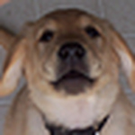 Profile Picture of Ryandmckenzie (@ryandmckenzie) on Flickr