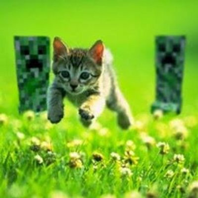 Profile Picture of Chastin Cumbess (@FuzzyTheDragon) on Twitter