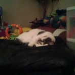 Profile Picture of David Doxtater (@David-Doxtater) on Facebook