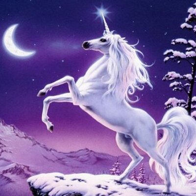 Profile Picture of Eric,Uran,Rockey (@TeamUnicornxx) on Twitter