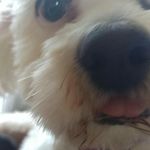 Profile Picture of Shaun Carlson (@carlsonrph) on Instagram