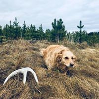 Profile Picture of Kirk Herrick (@kirk-herrick) on Quora