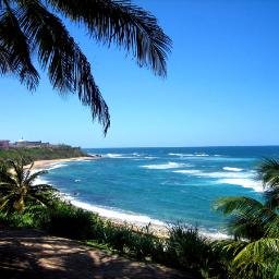 Profile Picture of Yvette Alicea-Reed (@Aliceareed) on Twitter