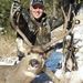 Profile Picture of Joshua Philbrick (@joshuaphilbrick) on Pinterest