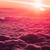 Profile Picture of Mira Ickler (@ickler) on Tiktok