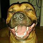 Profile Picture of Michael Kasalo (@michaelkasalo) on Instagram