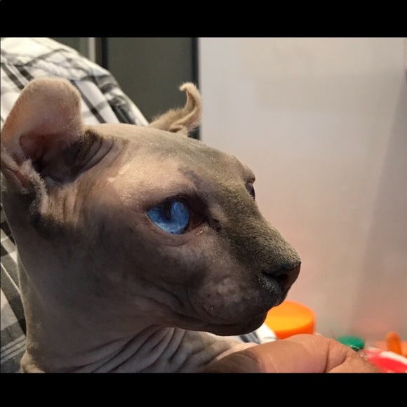 Profile Picture of Joan Maybury (@joanmaybury) on Poshmark