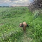 Profile Picture of Joseph S. Ulibarri (@ulibarri1959) on Instagram