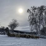 Profile Picture of Gavin Cullen (@Gavin-Cullen) on Facebook