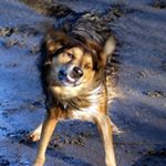 Profile Picture of Jesse (@ouelletteone) on Instagram