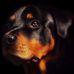 Profile Picture of David Ellner (@david.ellner.167) on Facebook