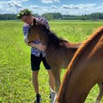 Profile Picture of Eric Sundström (@ericsundstrm) on Instagram