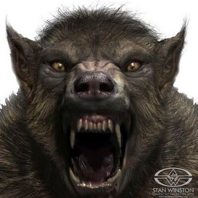 Profile Picture of Gary Coffey (@garycoffey2) on Twitter