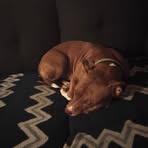 Profile Picture of James Hayes (@James-Hayes) on Facebook