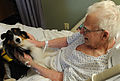 Profile Picture of Nursing home care - Wikipediaon Wikipedia